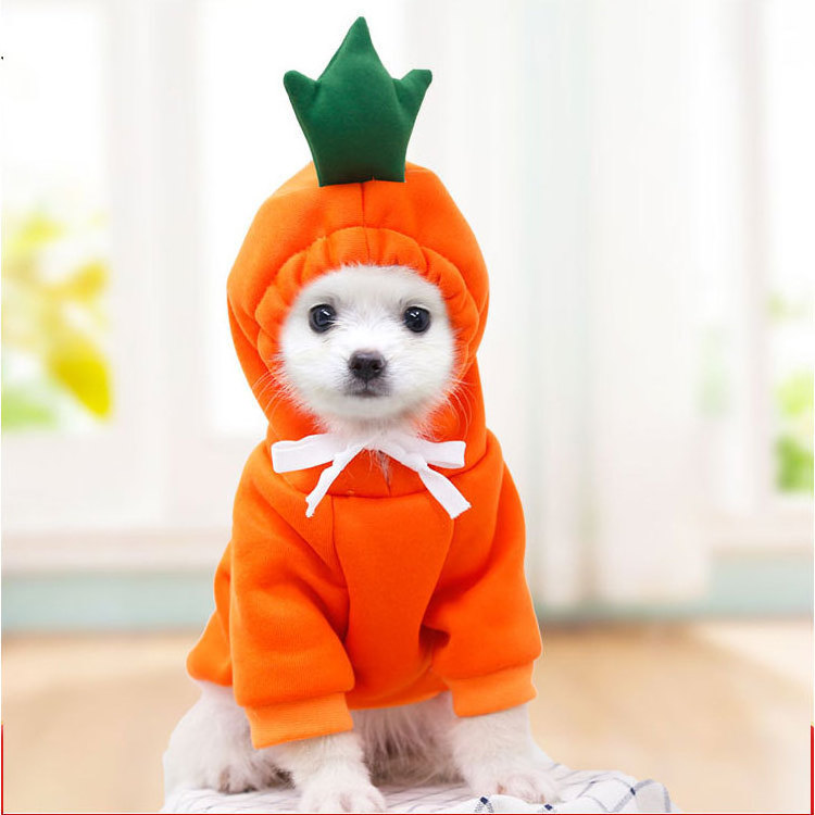 Dog Winter Warm Clothes Cute Plush Coat Hoodies Pet Costume Jacket For Puppy Cat French Bulldog Chihuahua Small Dog Clothing