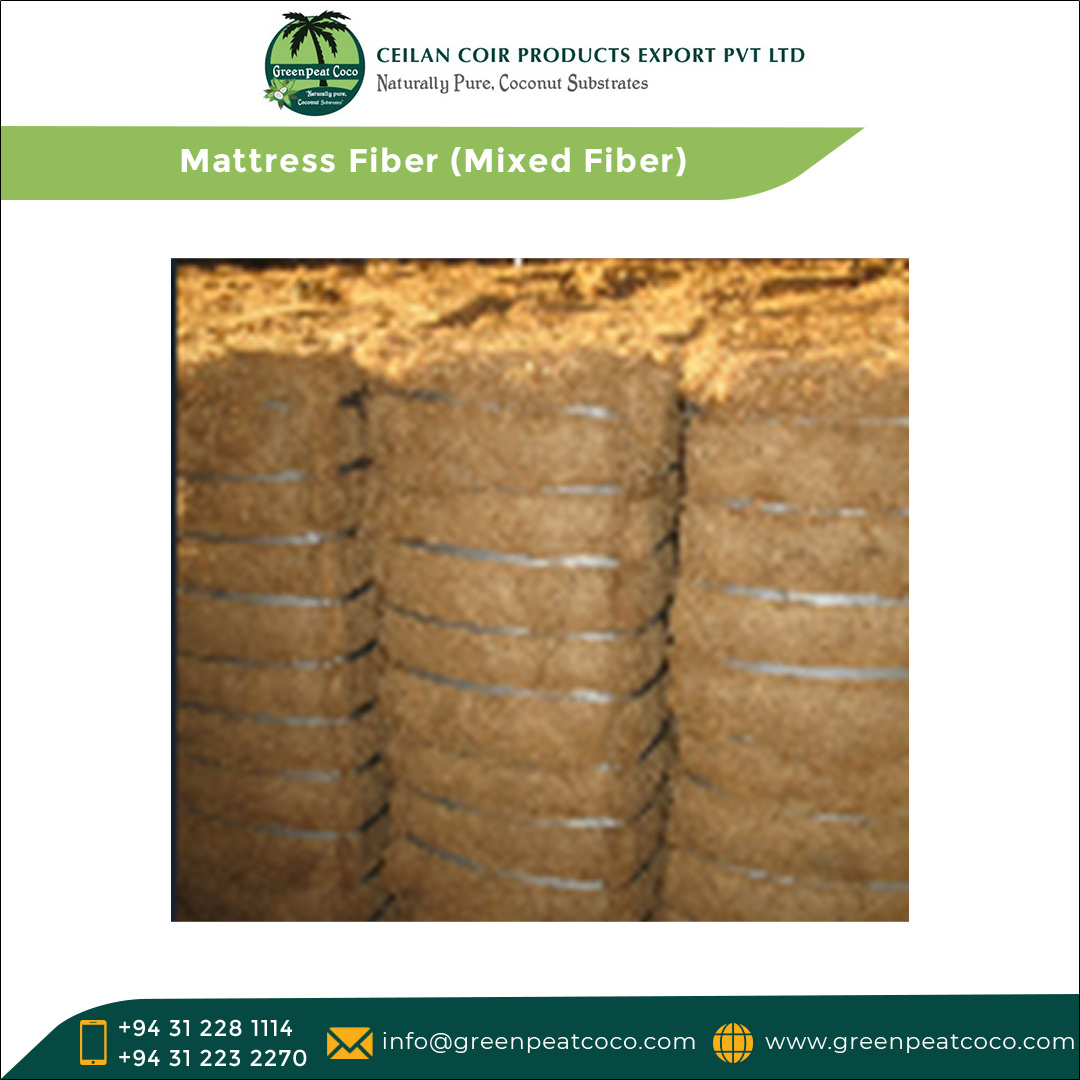 Exporting Wide Product Range of 100% Natural Eco-friendly Coir Fiber Made Mattress Fiber (Mixed Fiber) for Sale