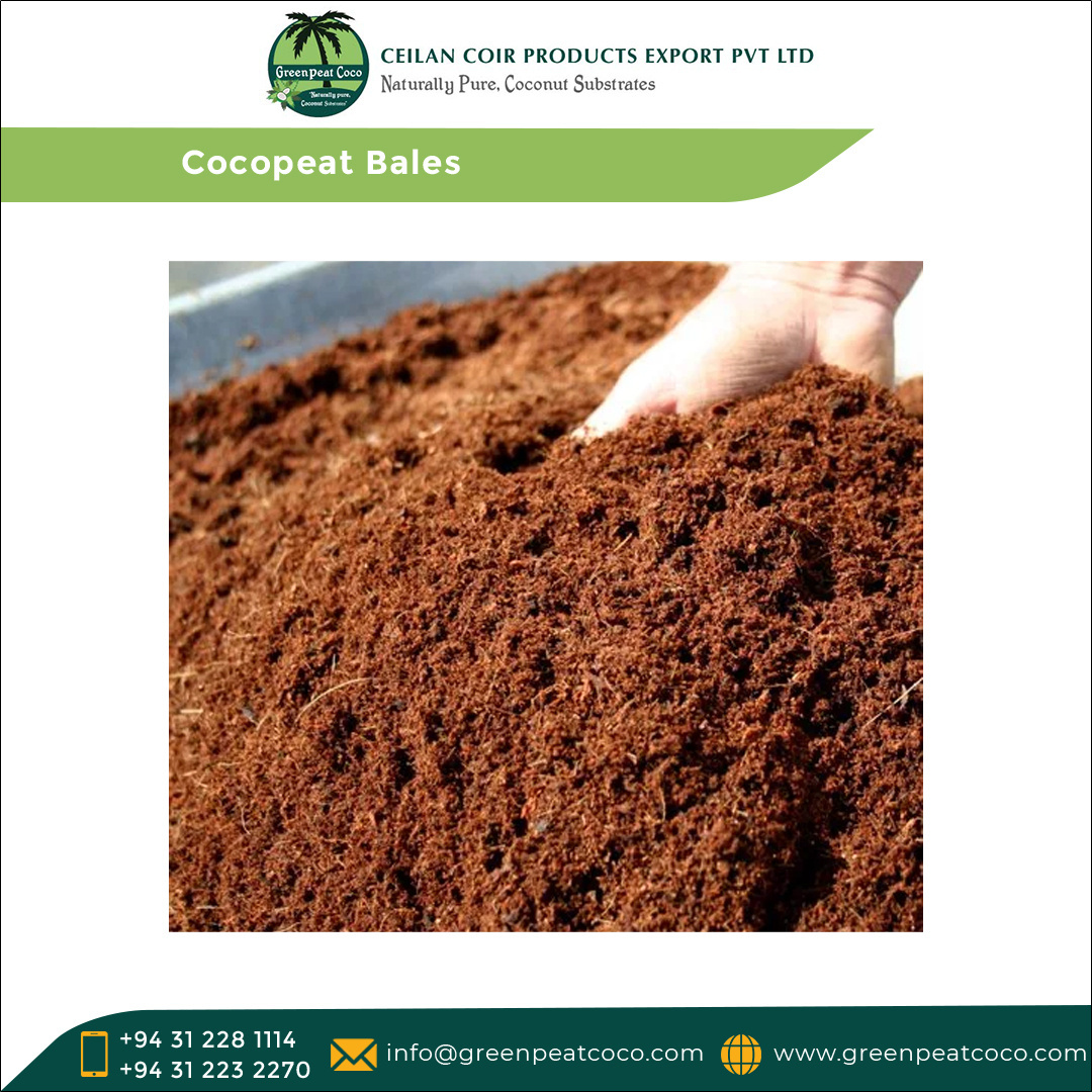 Exporting Wide Product Range of Top Selling 100% Natural Greenhouse Hydroponic Horticulture 25kg Cocopeat Bales