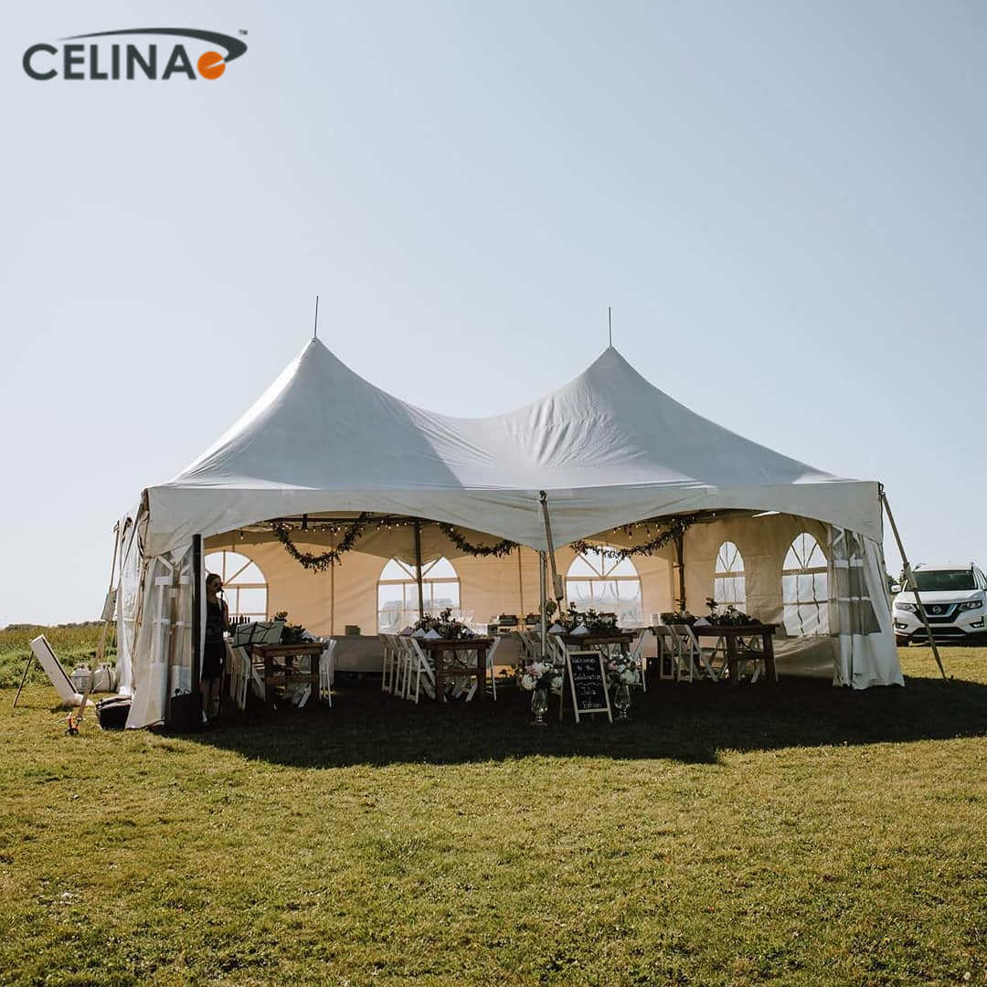 Celina 10X20 outdoor heavy duty outdoor tents events large china tent manufacturer marquee gazebo canopy trade show tent