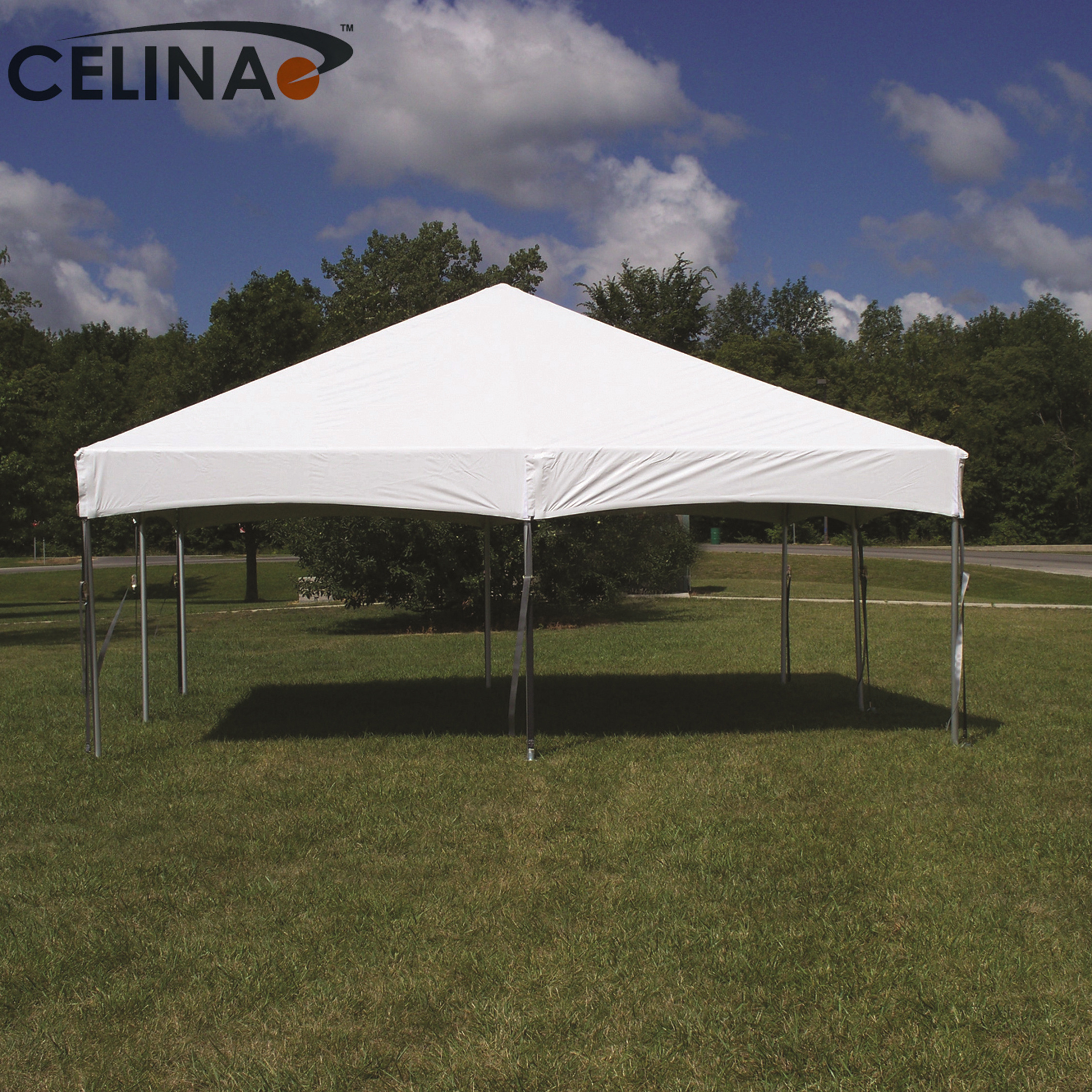 Celina clear high quality canopy 20X20ft transparent white PVC Flame Retardant Master Frame Tent For Outdoor Wholesaler