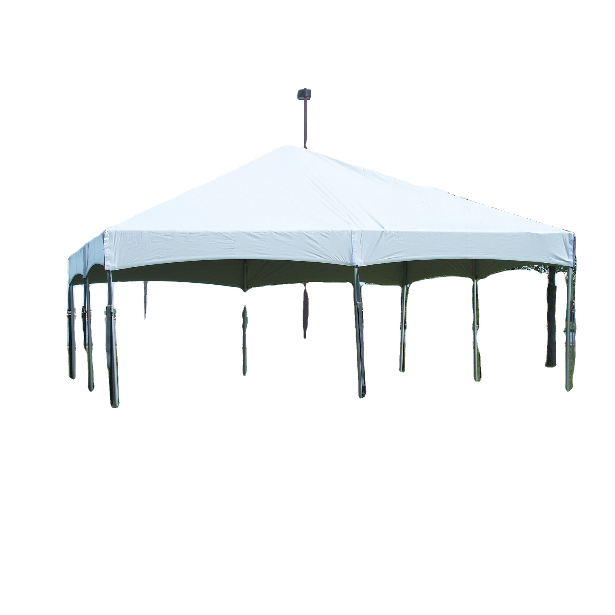 Celina clear high quality canopy 20X20ft transparent white PVC Flame Retardant Master Frame Tent For Outdoor Wholesaler