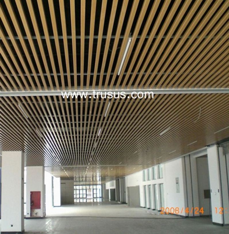 Trusus Cheap Price Aluminum Baffles Suspended Ceiling Access Panels