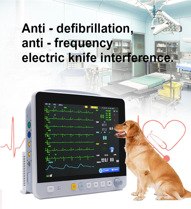 Multiparameter ecg handheld portable ultrasound scanner machine nellcor monitoring veterinary handheld vital sign monitor