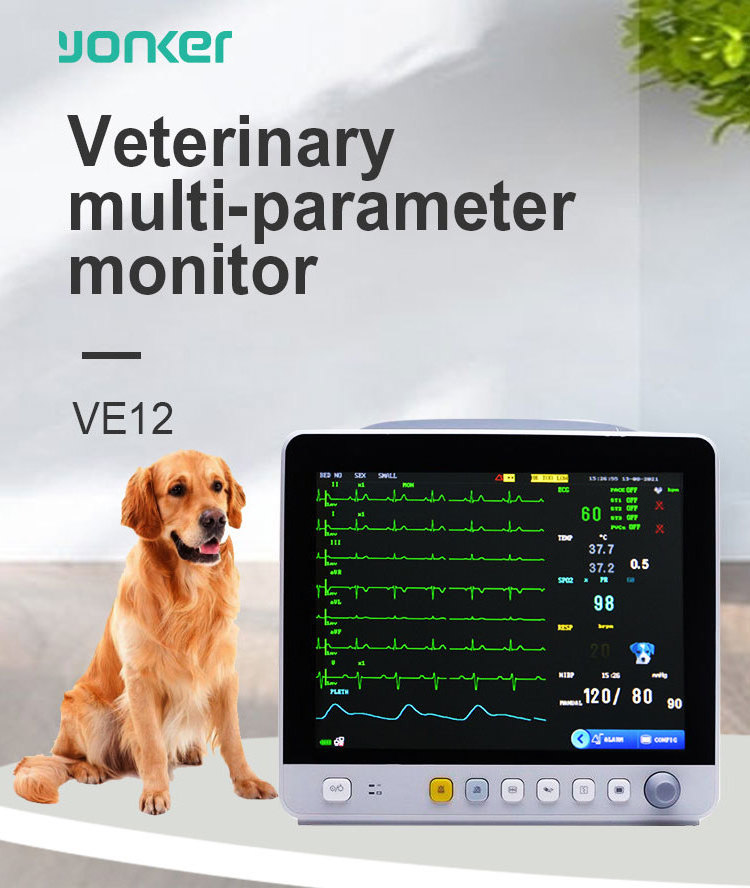 Multiparameter ecg handheld portable ultrasound scanner machine nellcor monitoring veterinary handheld vital sign monitor