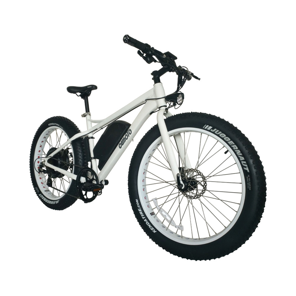 2022 Most Popular 2 Wheel electric bike 26 inch Fat Tire 1000watt Lithium Battery China Electric Mountain Bicycle  For  Adults