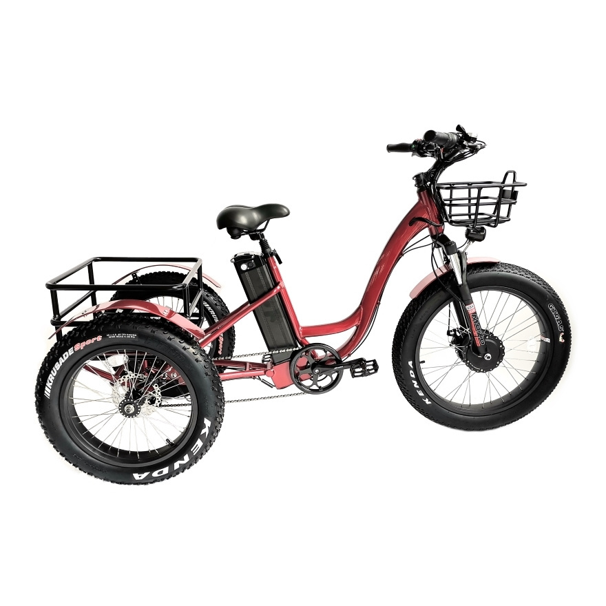 ebike 48v 500W 750W 1000W Hybrid Bicycle Alloy Frame Heavy-duty Carrying Rear Cargo Fat Tire 3 wheel Electric Tricycle