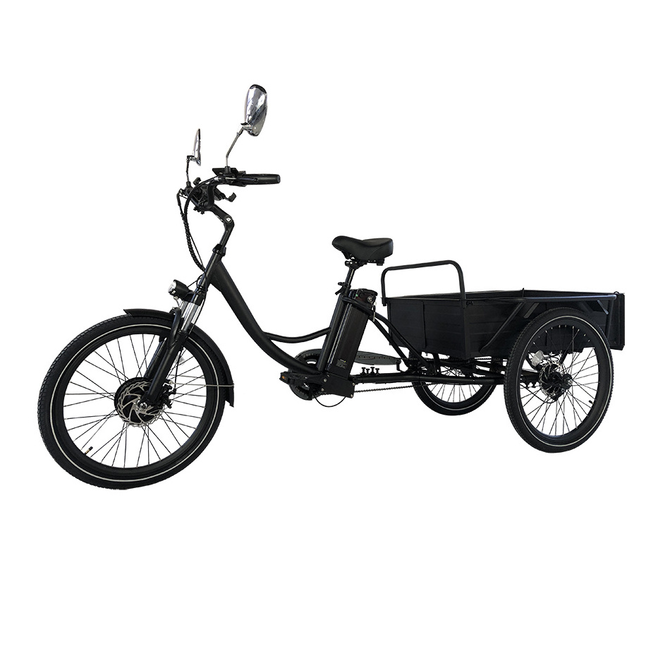 High quality Cargo Electric Trike Lithium Battery Powered 350W 500W Disc brake 24 Inch Three Wheels  Electric Tricycles