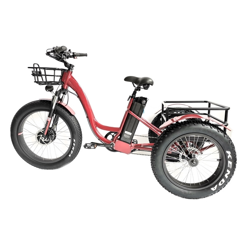 ebike 48v 500W 750W 1000W Hybrid Bicycle Alloy Frame Heavy-duty Carrying Rear Cargo Fat Tire 3 wheel Electric Tricycle