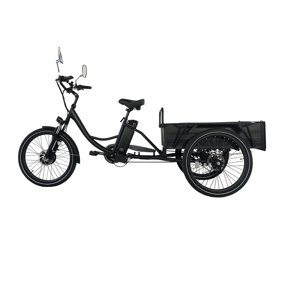 High quality Cargo Electric Trike Lithium Battery Powered 350W 500W Disc brake 24 Inch Three Wheels  Electric Tricycles