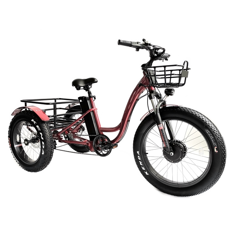 ebike 48v 500W 750W 1000W Hybrid Bicycle Alloy Frame Heavy-duty Carrying Rear Cargo Fat Tire 3 wheel Electric Tricycle