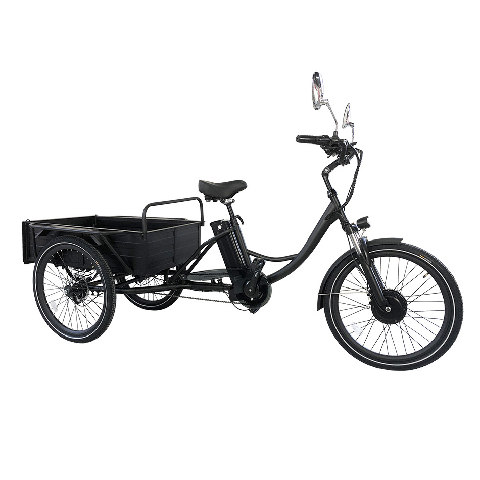 High quality Cargo Electric Trike Lithium Battery Powered 350W 500W Disc brake 24 Inch Three Wheels  Electric Tricycles