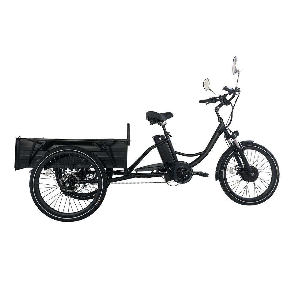 High quality Cargo Electric Trike Lithium Battery Powered 350W 500W Disc brake 24 Inch Three Wheels  Electric Tricycles