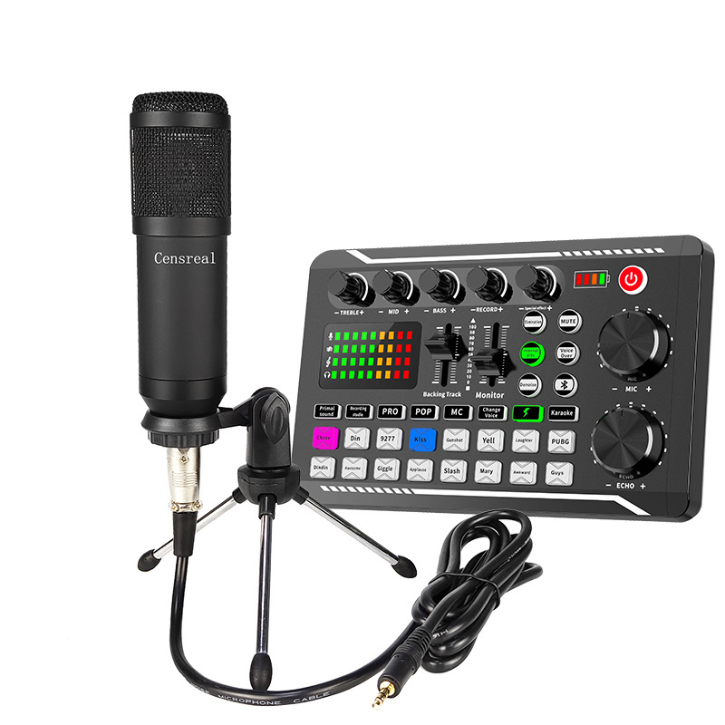 Noise Cancelling Studio Music Recording Equipment Audio Sound Card Mixer with Microphone Support Two People Streaming