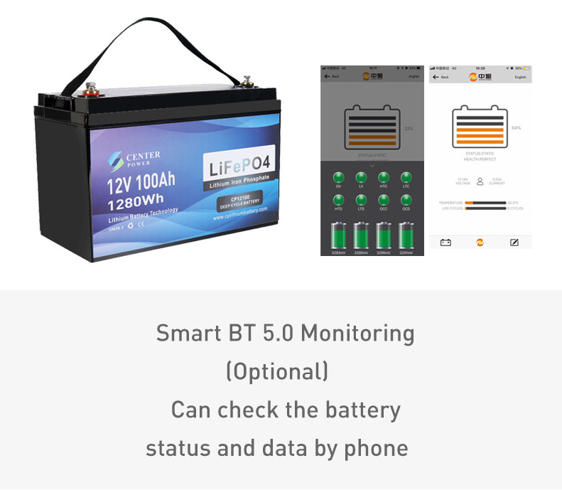 Best Seller US Germany UK Canada 12 v Deep Cycle Solar RV Caravan Marine 12 volt Lithium Ion Batteries 12V 100ah LiFePO4 Battery
