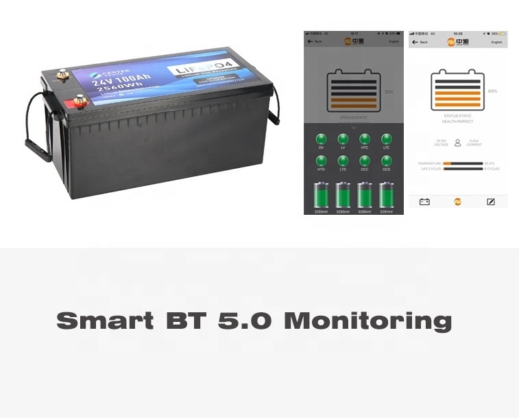 Maintenance free 24 volt 200ah 100ah lithium-ion marine solar storage deep cycle 32650 lithium ion 24v lifepo4 battery pack