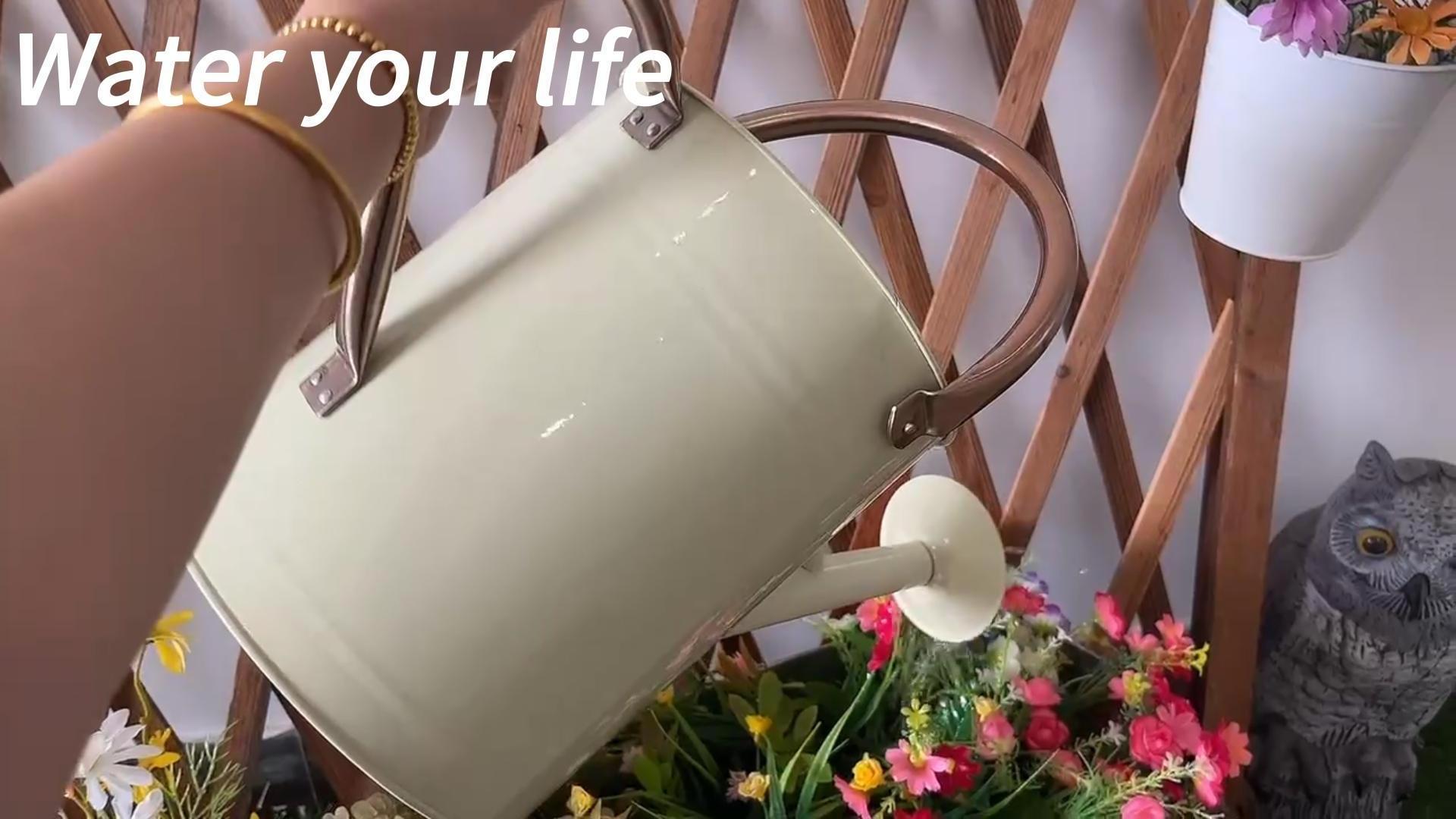 Watering Can Outdoor Plant 1.5 Gallon Water Cans Green Watering Pot for Office House Indoor Garden