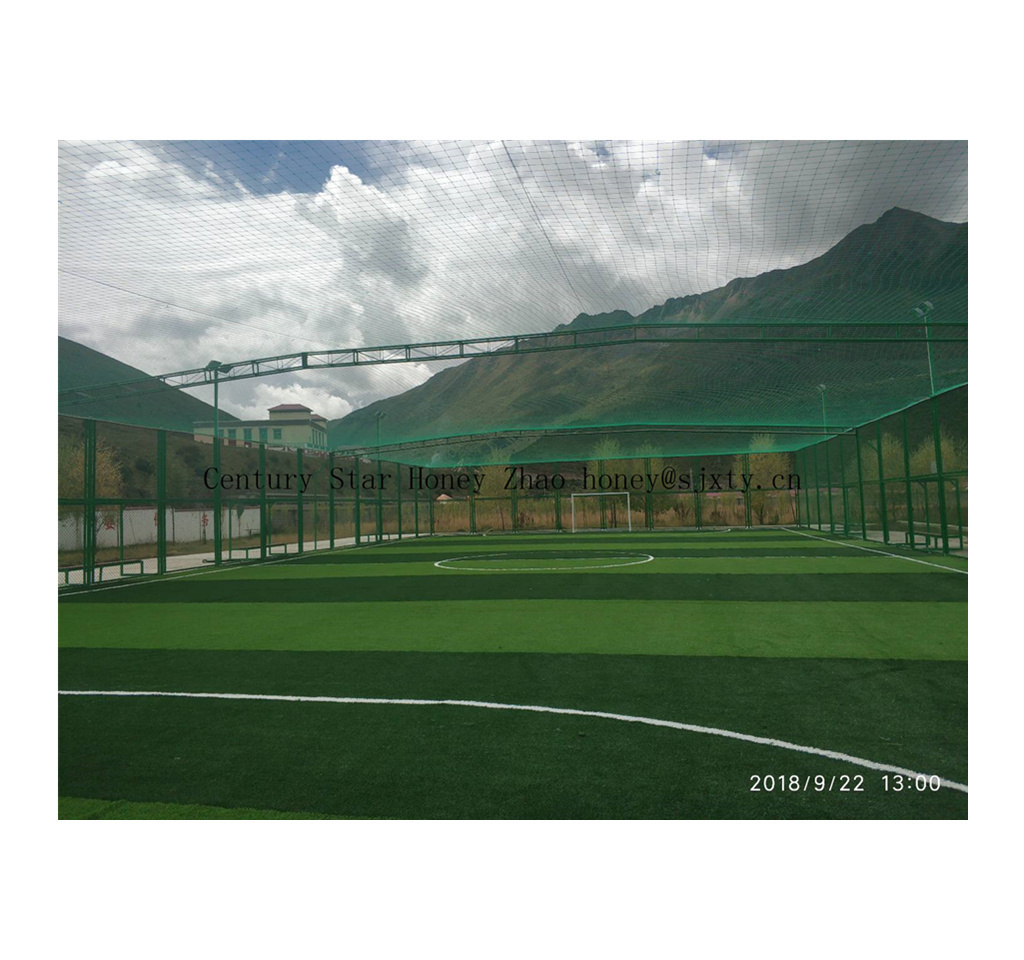 Professional soccer cage Football Field sports Pitch