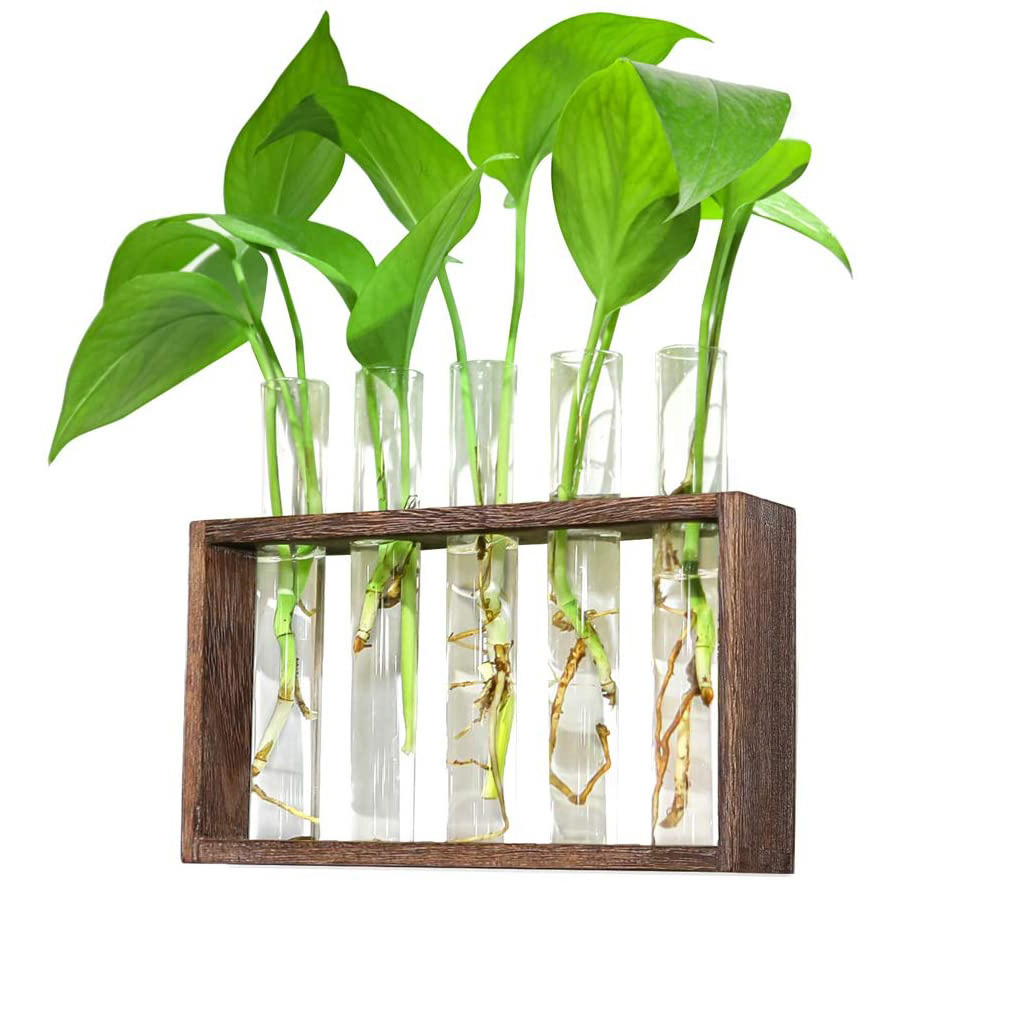 Aeofa Wall Hanging Glass Planter Plant Terrarium Modern Flower Bud Vase in Wood Stand Rack Tabletop Terrarium for plants