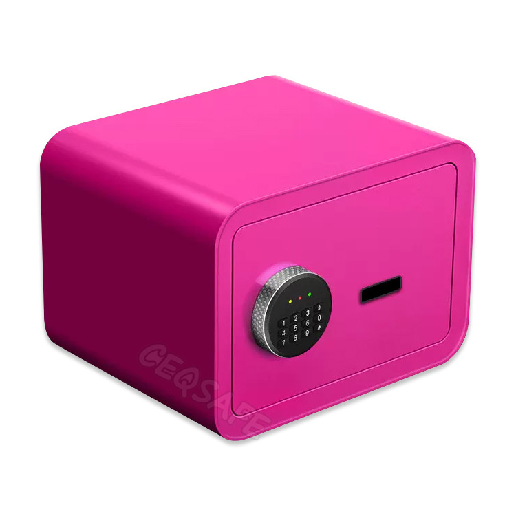 CEQSAFE Home Hotel Electronic Small Wall Safety Money Mini Safe Box fingerprint