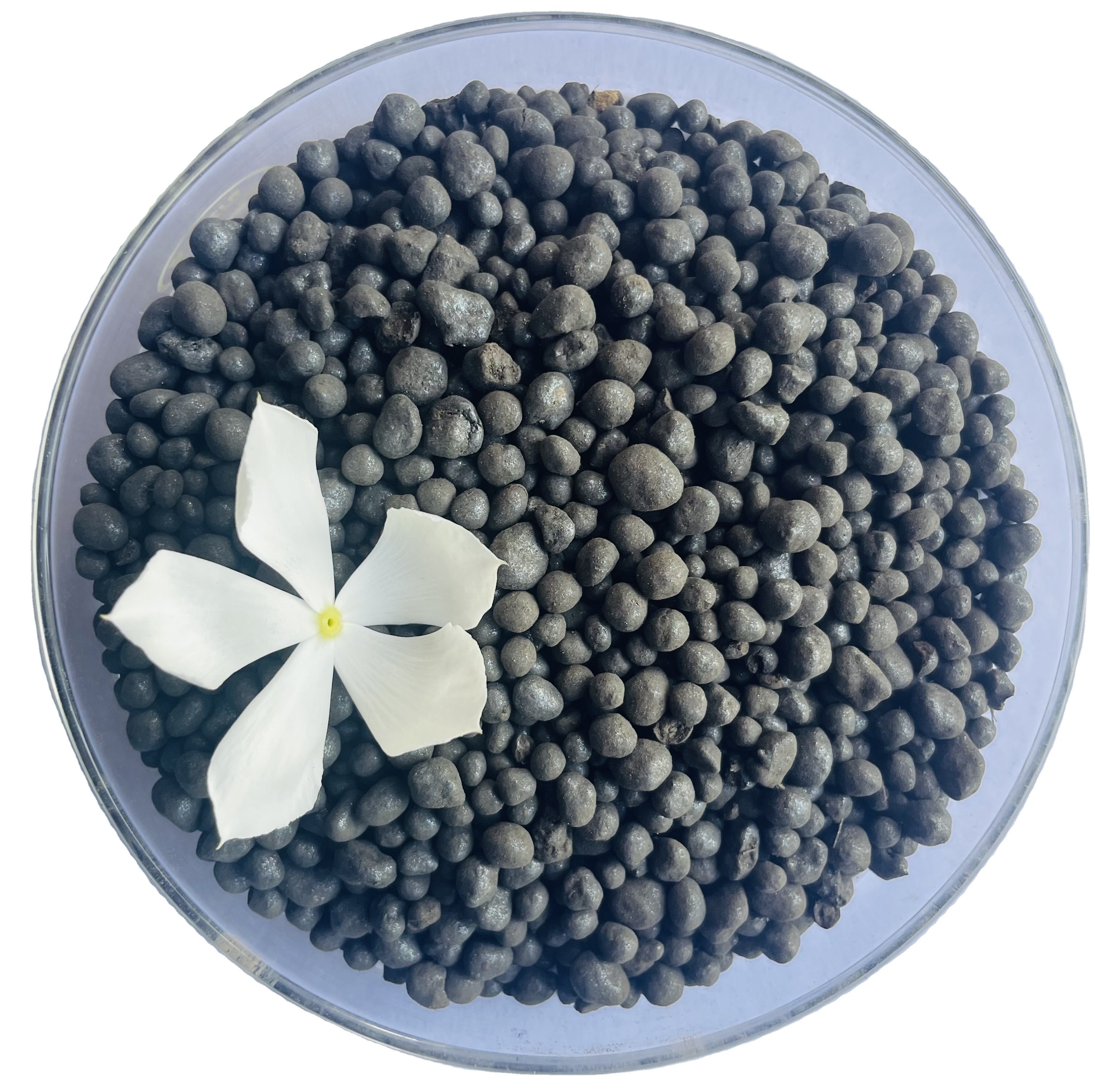 Good Quality Humic Acid+amino Acid+npk Compound Granular Organic Fertilizer Customization Possible Granules Indian Manufacturer