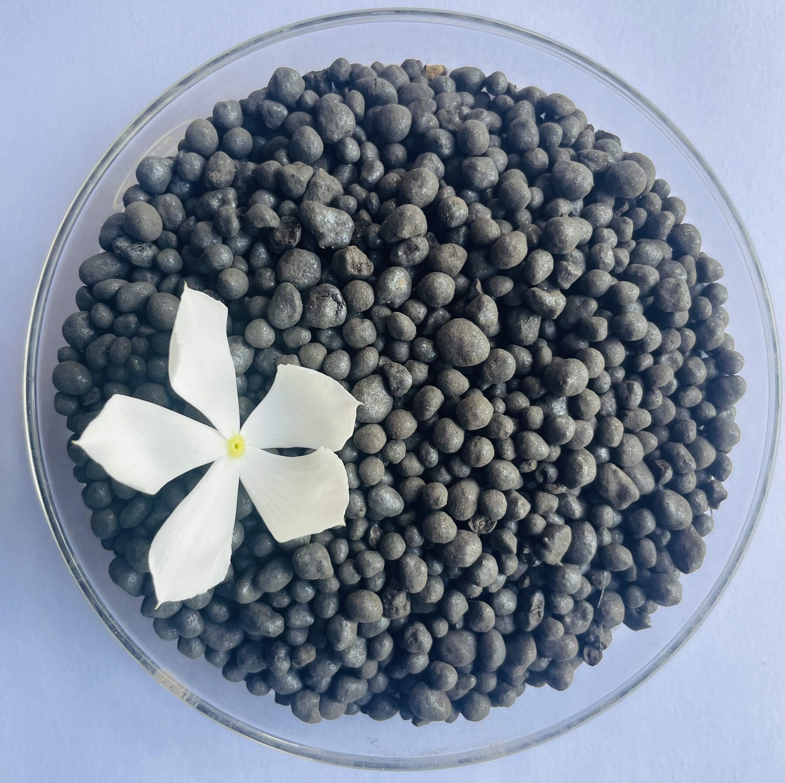 Good Quality Humic Acid+amino Acid+npk Compound Granular Organic Fertilizer Customization Possible Granules Indian Manufacturer