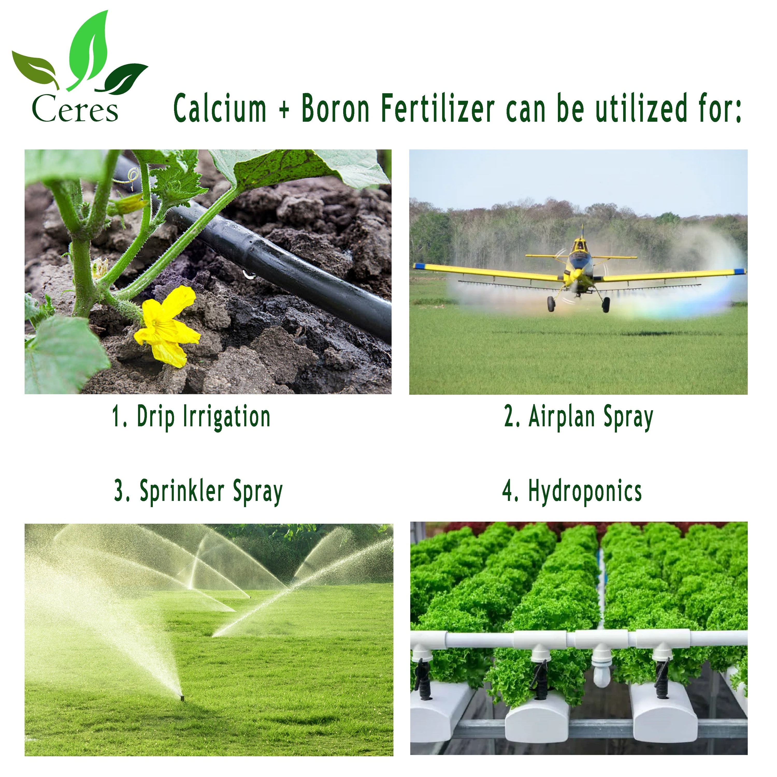 Ecocert certified Agriculture Organic fertilizer CALCIBOR CERES vegetable fertilizer Calcium Boron wholesale rates for exports