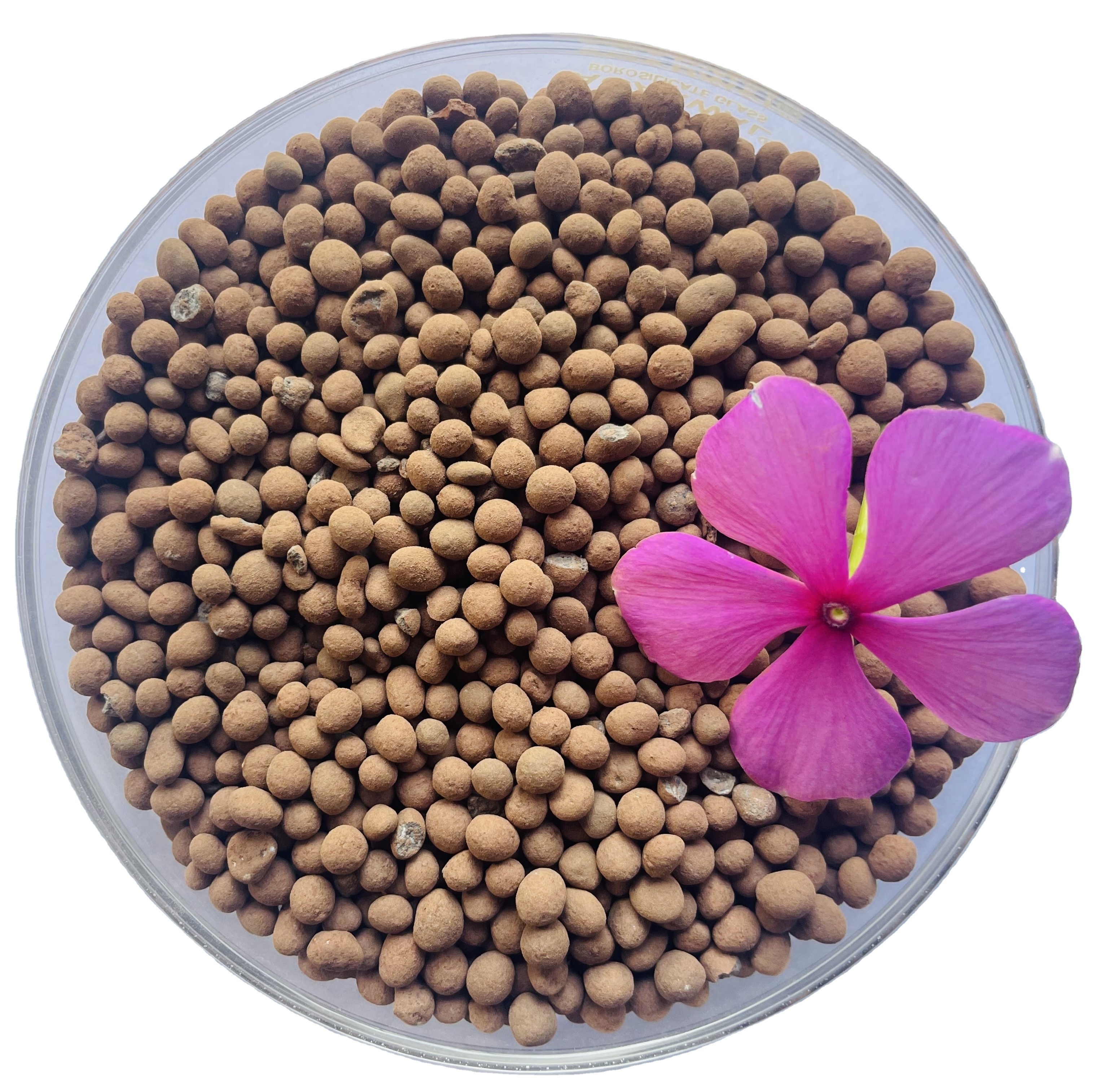 Good Quality Humic Acid+amino Acid+npk Compound Granular Organic Fertilizer Customization Possible Granules Indian Manufacturer