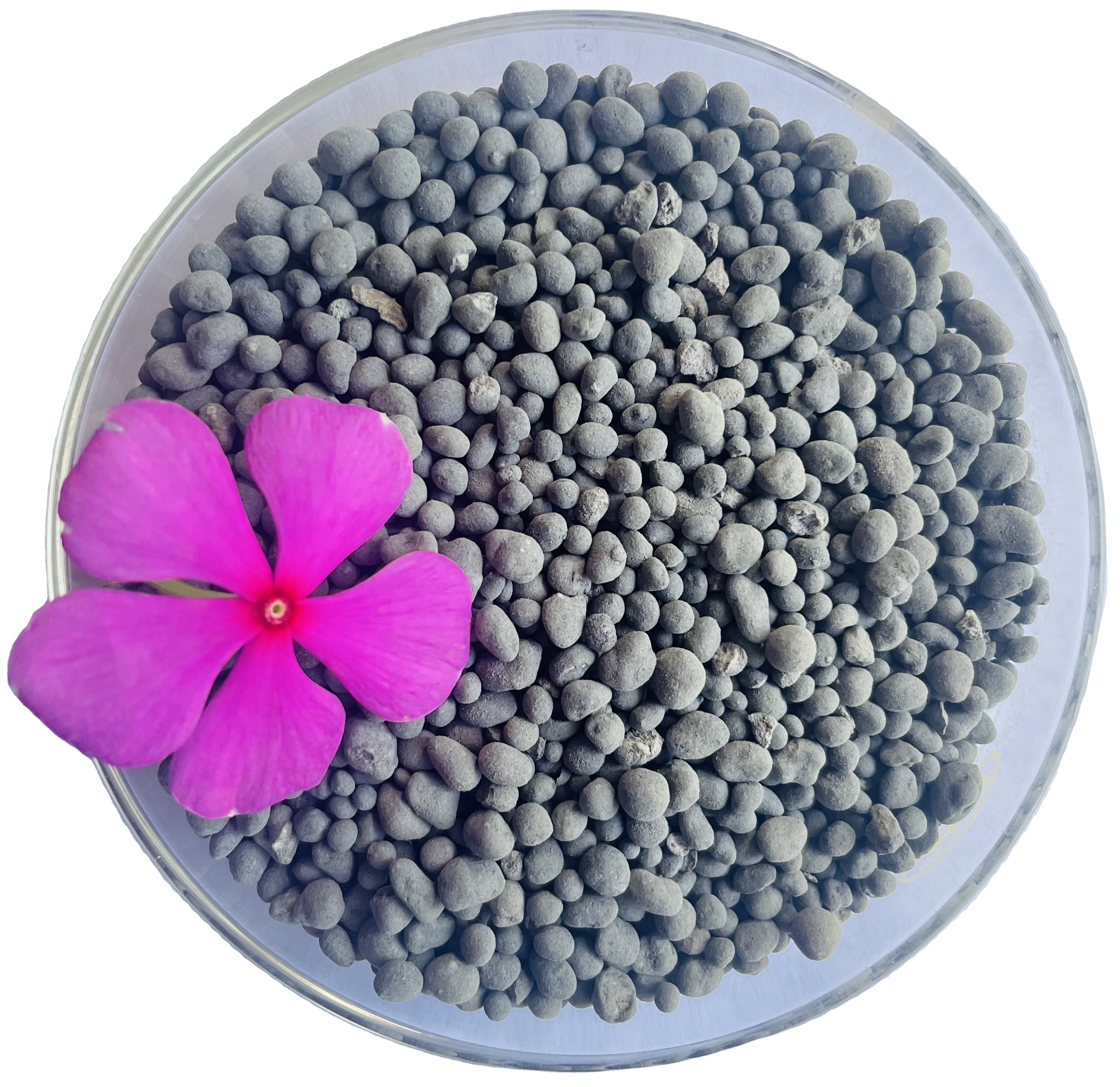 Competitive pricing of Humic acid Amino acid Fulvic Acid customizable shiny balls fertilizer fast release for agriculture