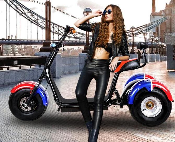 High Quality Scooter Three Wheels Big Tire Trike Atv Adult Tricycle Citycoco 3 Wheel Electric Scooter 1500w/2000w With EEC COC