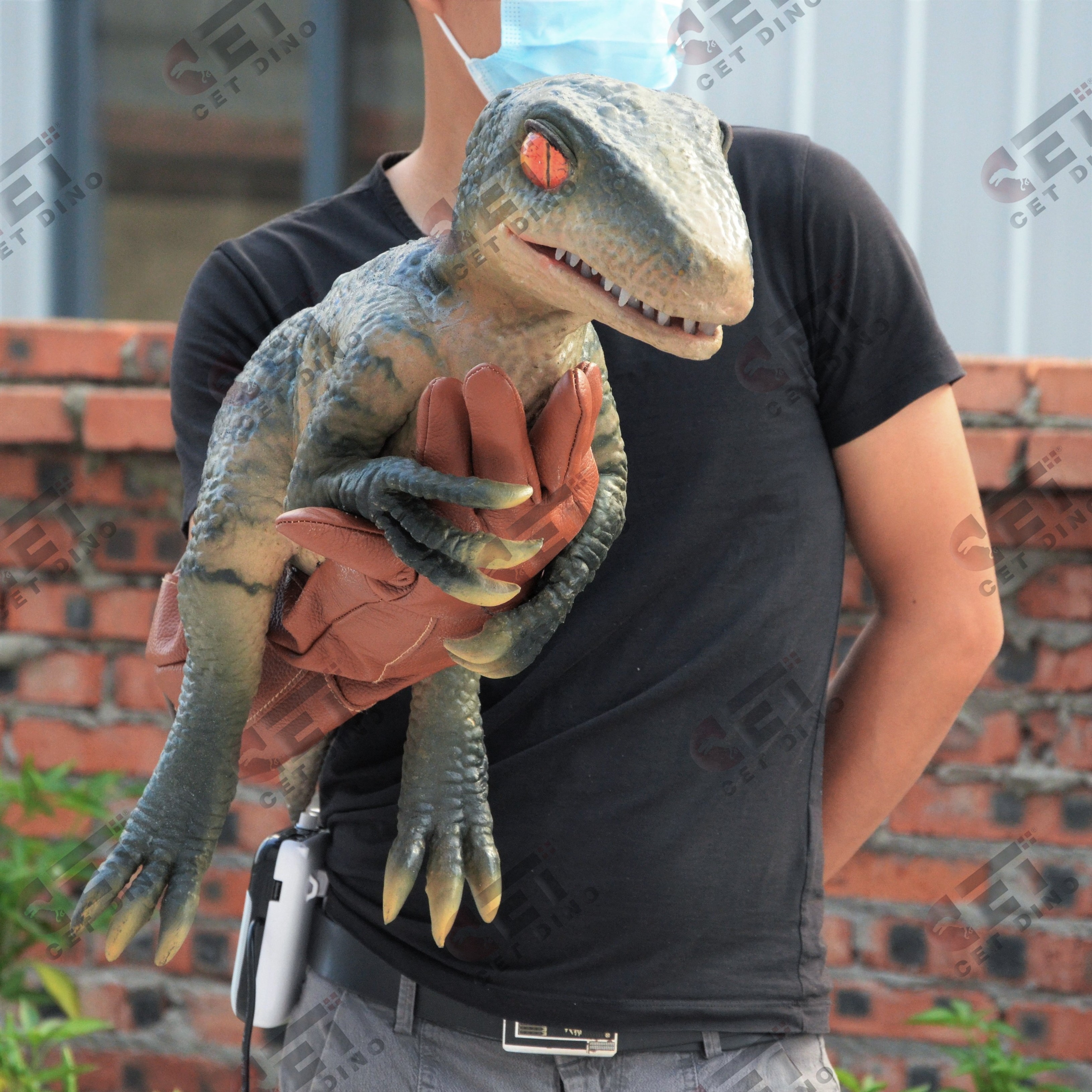 Cetnology amusement park realistic professional light small  baby dinosaur hand puppet  for show