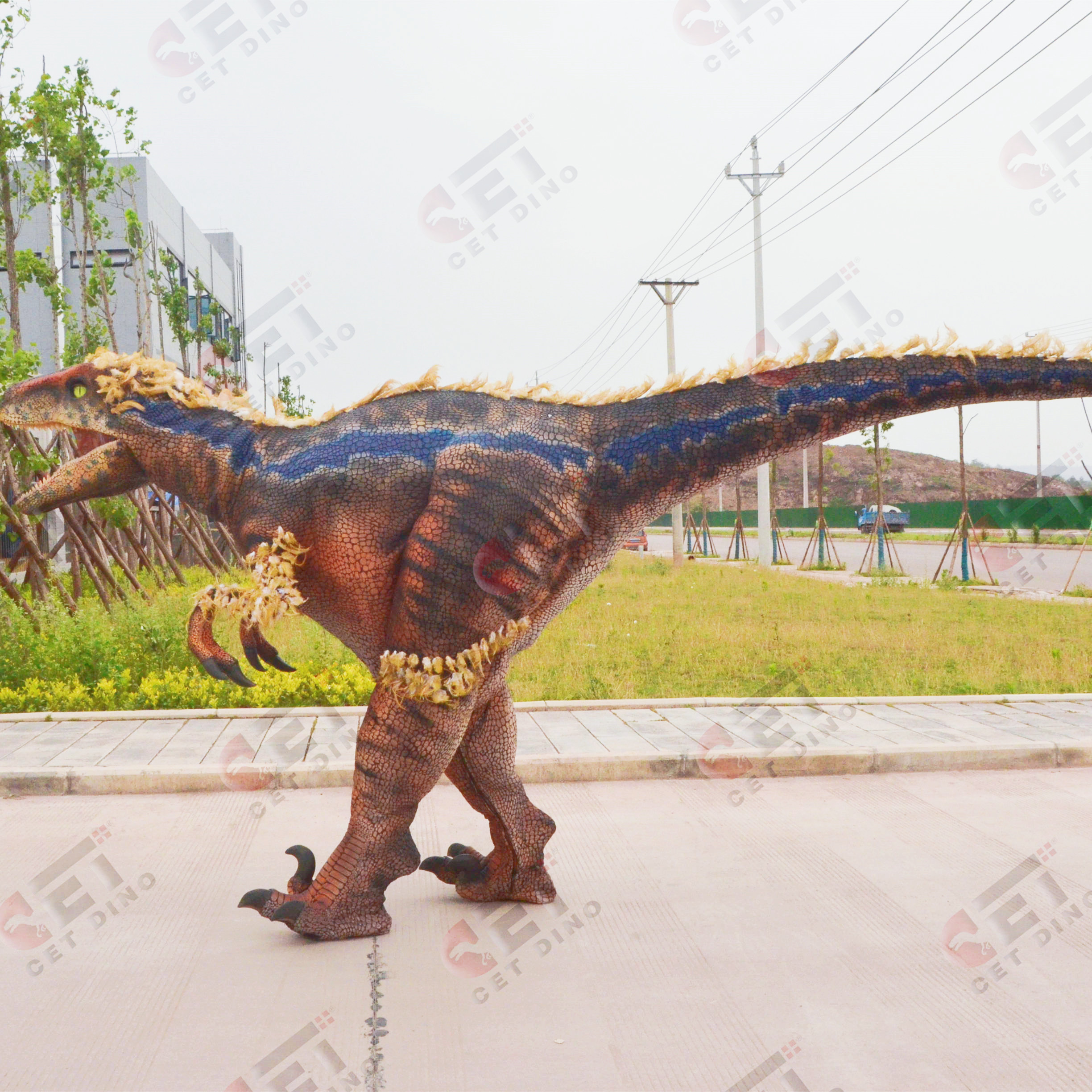 Walking Velociraptor dinosaur costume Jurassic park realistic dinosaur costume; Amusement Park Adult Dinosaur