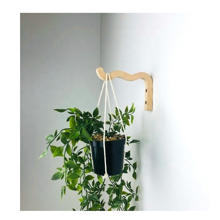 Indoor Plant Hanger Hanging Plant Holder Bracket Wiggle Wall Squiggles Plant Hook