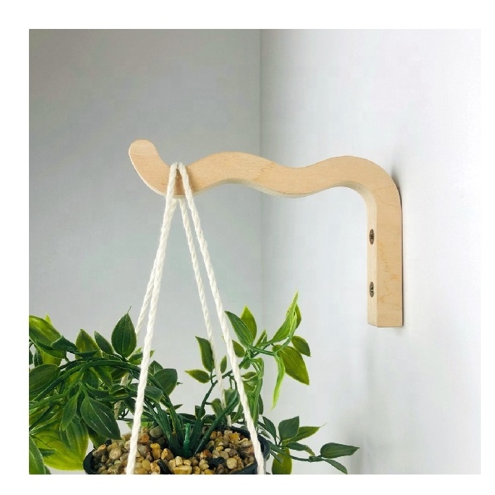 Indoor Plant Hanger Hanging Plant Holder Bracket Wiggle Wall Squiggles Plant Hook