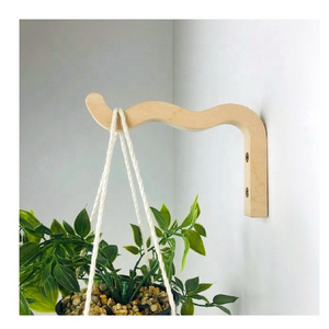 Indoor Plant Hanger Hanging Plant Holder Bracket Wiggle Wall Squiggles Plant Hook