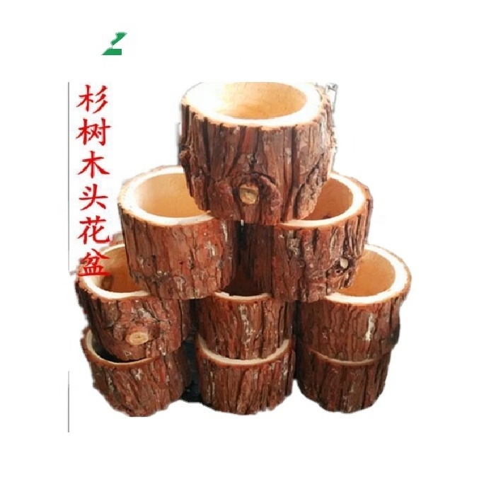 Decorative Wooden Tree bark Succulent planter pot