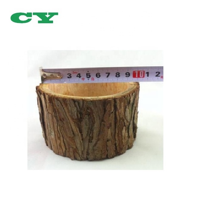 Decorative Wooden Tree bark Succulent planter pot