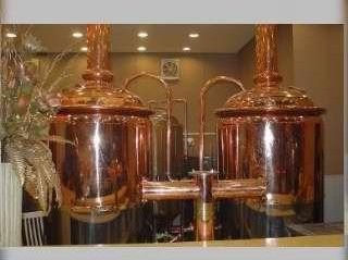 300L electric copper beer brewing kettle for microbrewery restaurant brewpub or bar