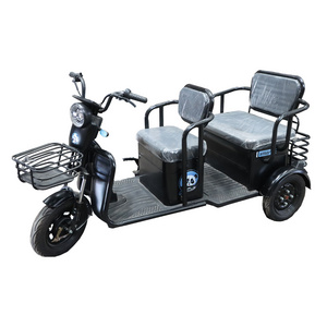 Electric tricycle dual-use household transportation battery car mini small small elderly people with disabilities leisure doubl