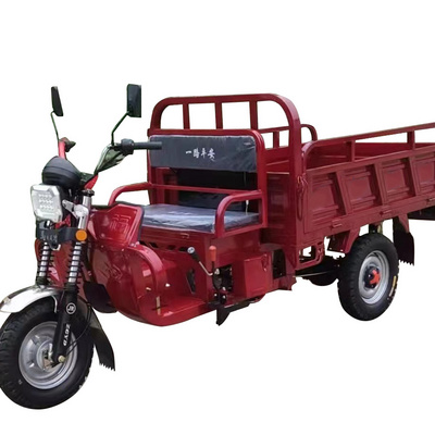 Cheap 200cc 250cc Gasoline Engine 3 Wheels Motorcycle Cargo Motorized Tricycle