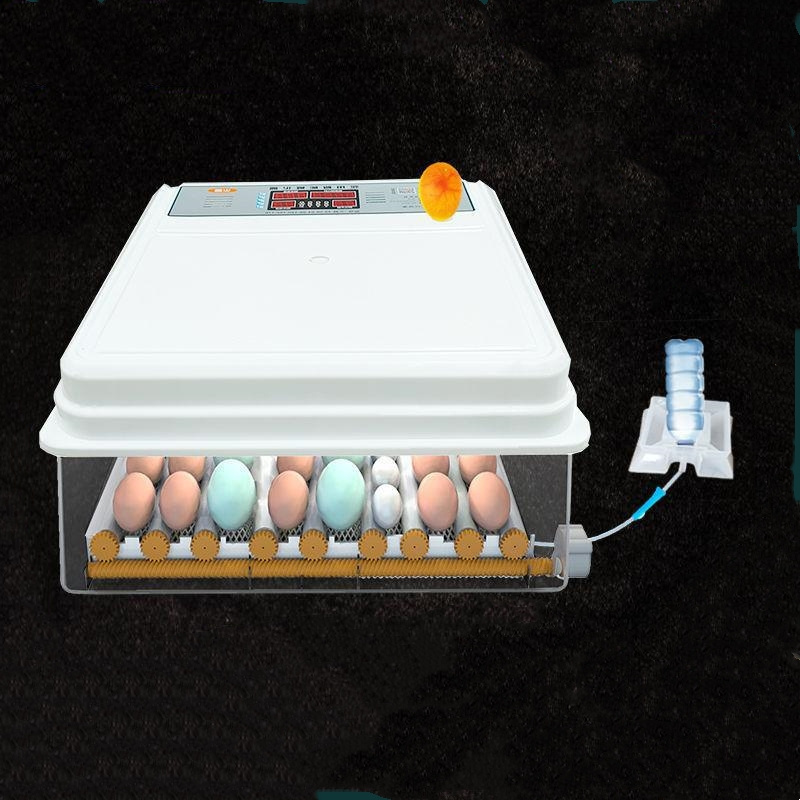 Dual Dower Supply Automatic 320 Capacity Quail Egg Incubator 128 Capacity Chicken Egg Incubator