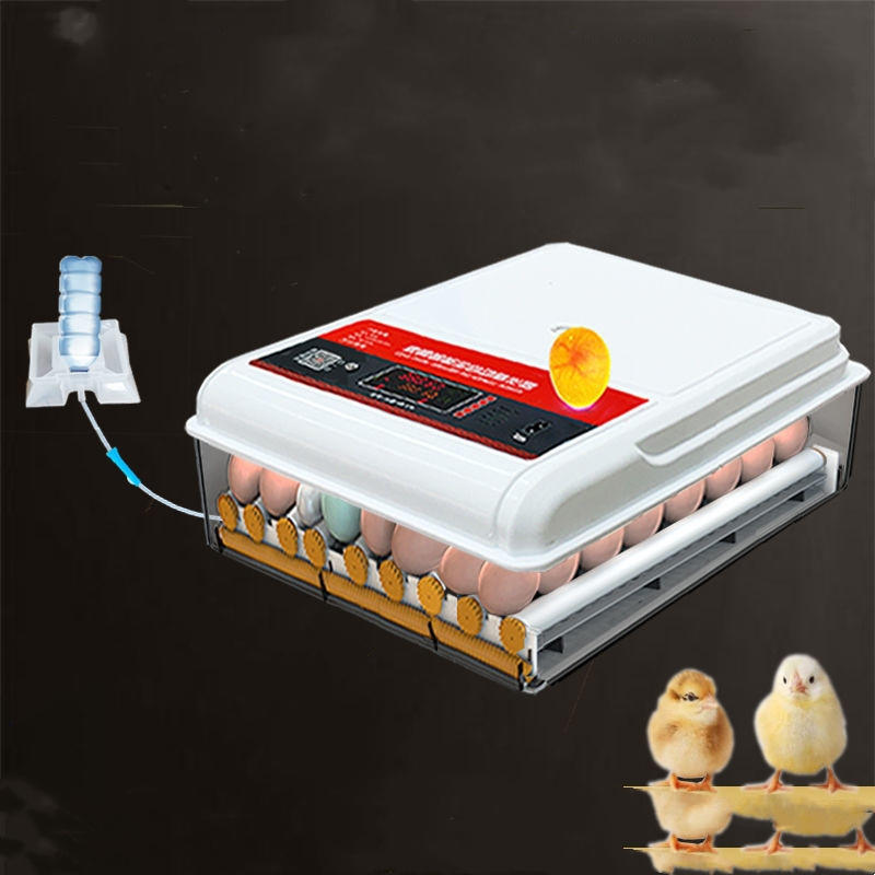 Dual Dower Supply Automatic 320 Capacity Quail Egg Incubator 128 Capacity Chicken Egg Incubator