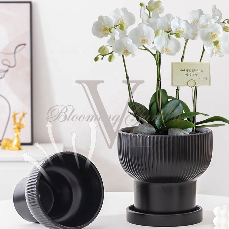 7 inch Dia 18cm Holy Grail phalaenopsis Butterfly orchid glazed ceramic flower pot for home decoration Interior