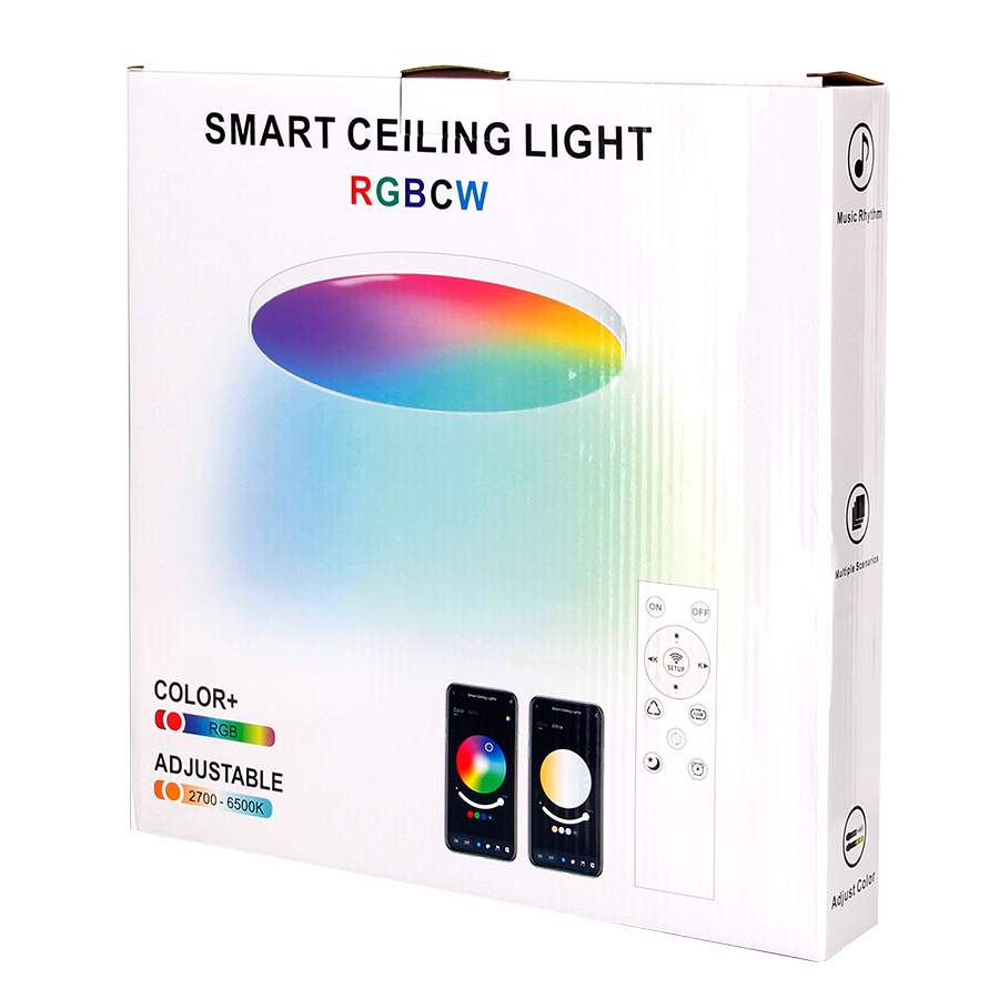 12inch 20W Smart Tuya App Control RGBCW Color Changing Flush mount LED Ceiling Light