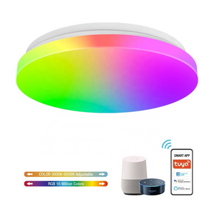 LED Flush Mount Fixture Daylight White RGB 24W 12 Inch Flat Modern Ceiling Lighting For Bathroom Kitchen