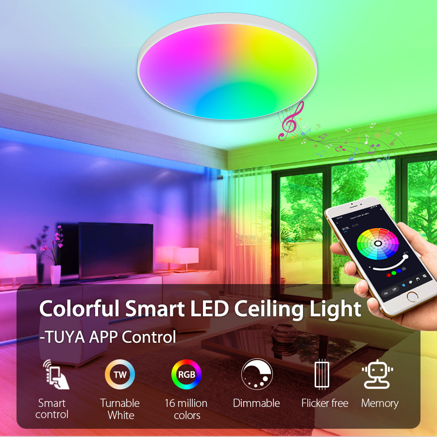 12Inch 20W White Ceiling Light LED APP Control  RGB Smart Light for Living Room Bedroom Dinning Kitchen Hallway Bathroom Round