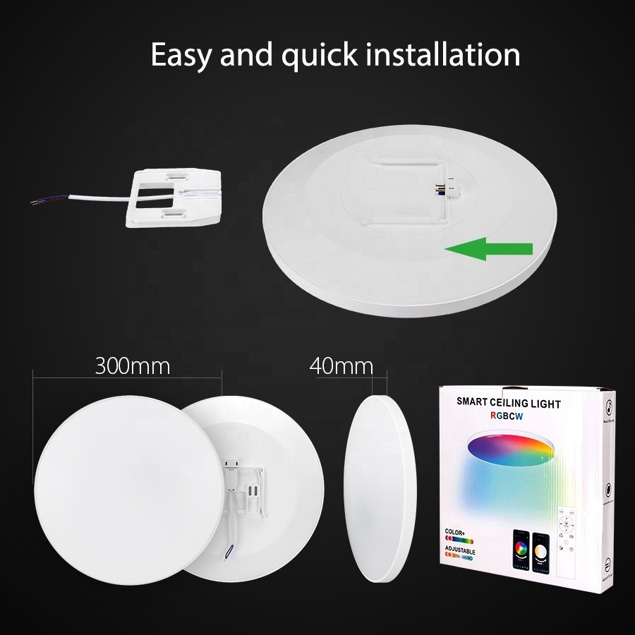 Indoor Smart LED Light Ceiling Modern Design Round 12inch 20W RGB Colors Bedroom with Remote Control LED Flush Mount