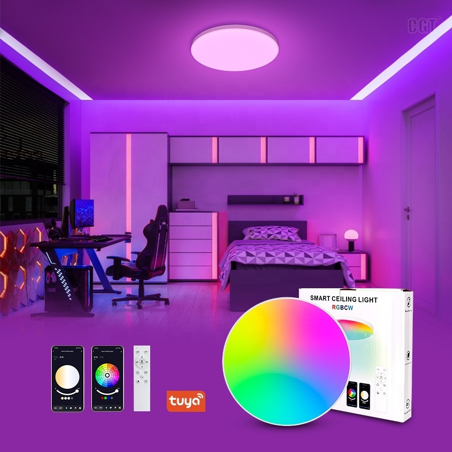 Modern 12 Inch 20W Indoor Smart LED Light RGB Colors Ceiling Design Surface Mounted Tuya Control LED Flush Mount