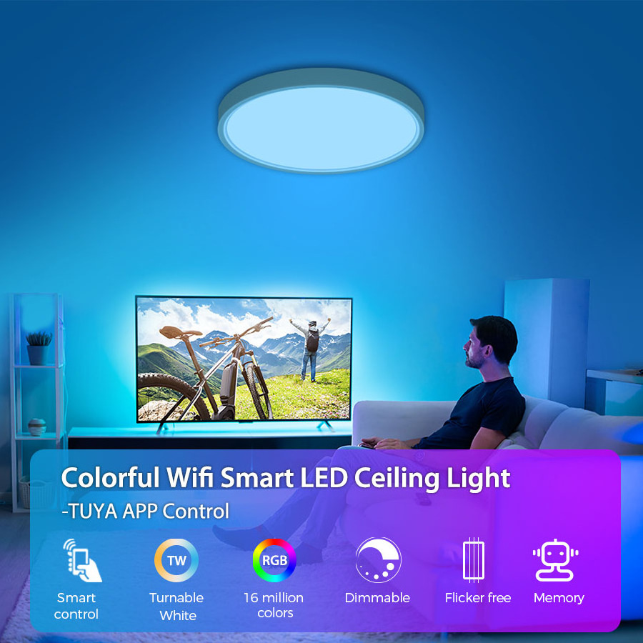 Smart Control Tuya APP control 24W Round Ceiling Light Indoor Flush Mount Fixture for Living Room