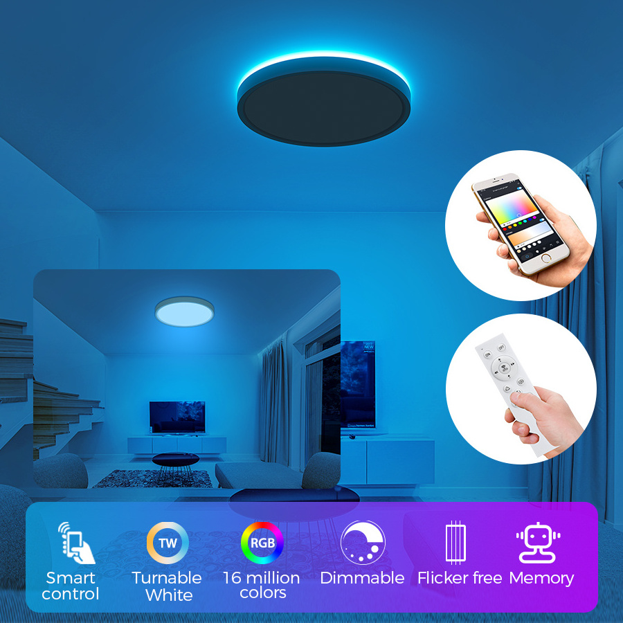 12inch 24w Smart Lamp Tuya APP control Led Ceiling Lights flush mount ceiling light led ceiling light for living room